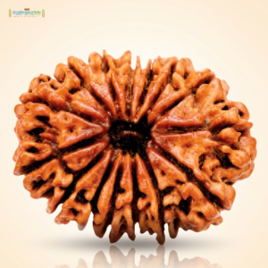 15 Mukhi Rudraksha