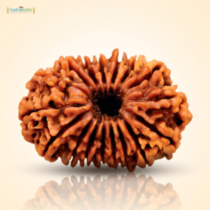 17 Mukhi Rudraksha