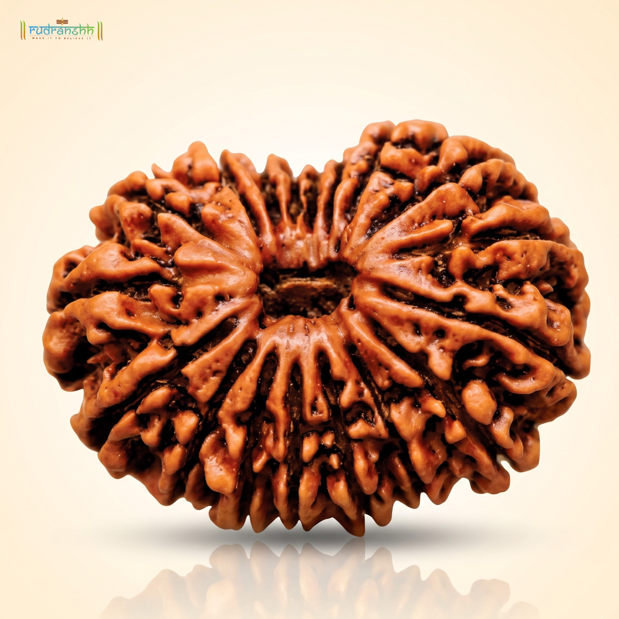 18 Mukhi Rudraksha