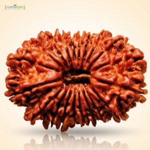 20 Mukhi Rudraksha