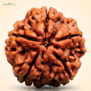 A natural 5 Mukhi Rudraksha bead showing its five Mukhi lines