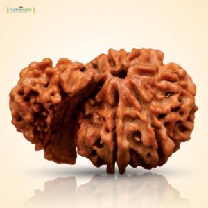 Sawar Rudraksha